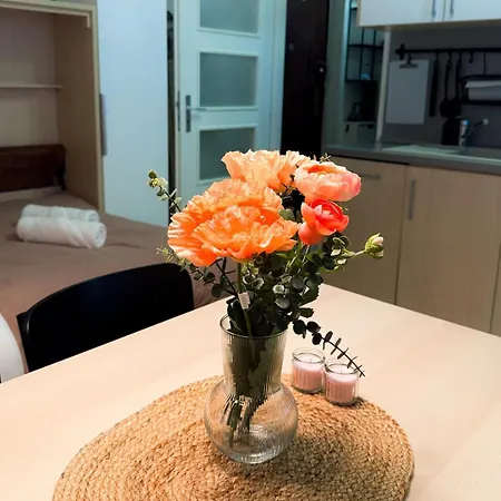 Apartman Lotus Riverside
